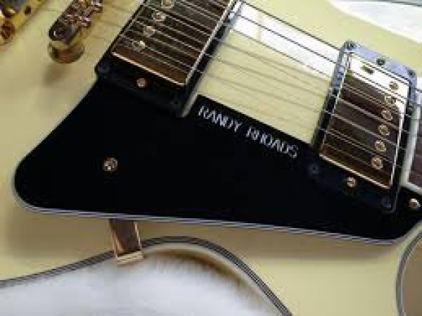 Gibson Les Paul Pickguard Randy Rhoads/ランディーローズ/ピックガード/全国一律送料無料