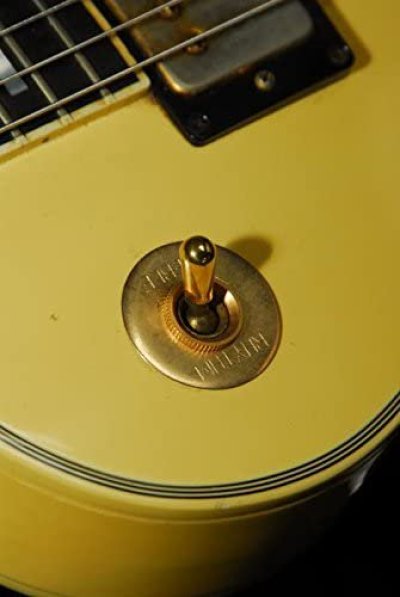 画像1: Brass Toggle Plate for Les Paul / Randy Rhoads/ランディーローズ/トグルスイッチプレート/全国一律送料無料