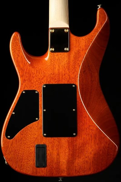 画像3: Suhr Limited Edition Standard Legacy - Suhr Burst/全国一律送料無料