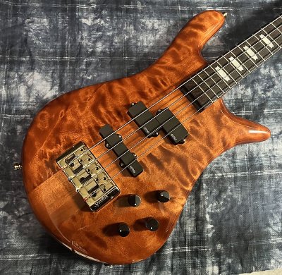 画像1: Spector Doug Wimbish Signature Euro 4 LX DW - Amber Stain Gloss/新品/全国一律送料無料