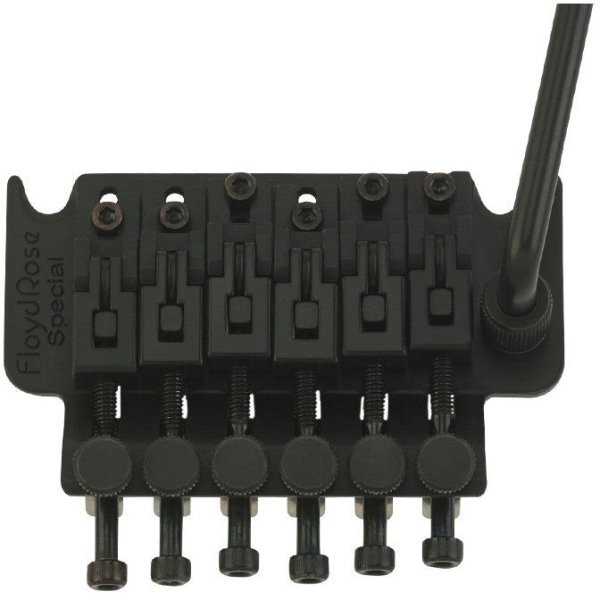 画像1: Floyd Rose Special Series Tremolo, Satin Black FRTS2000S R2Nut/サスティーンブロック37mm/フロイドローズスペシャル/全国一律送料無料！ (1)