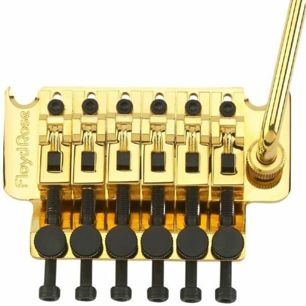 画像1: Floyd Rose FRT300 Original Series Tremolo System, Gold R2Nat/サスティーンブロック37mm/フロイドローズオリジナル/全国一律送料無料！ (1)