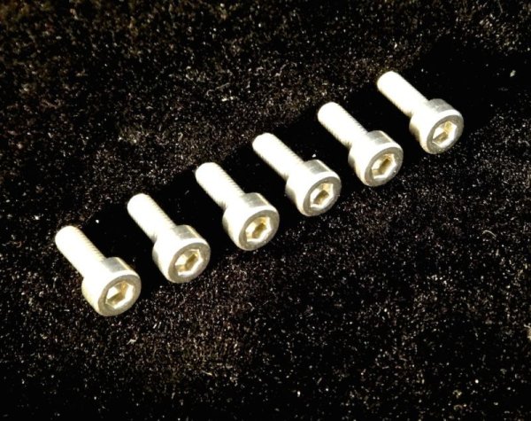 画像1: FU-Tone Floyd Stainless Saddle Mounting Screws (6)/フロイドローズ/サドルマウントスクリュー/トレモロパーツ/全国一律送料無料 (1)