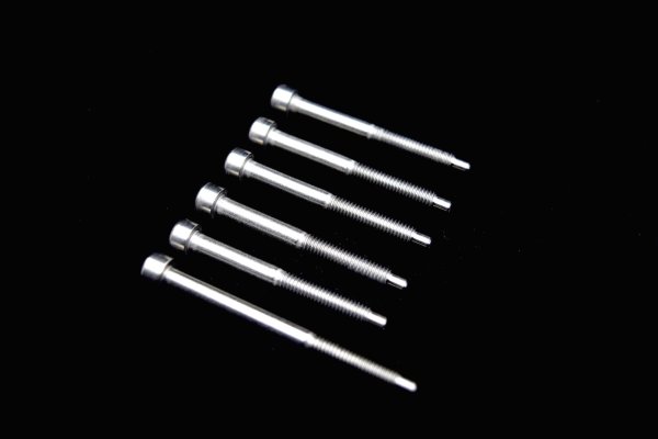 画像1: FU-Tone Stainless String Lock Screw Set w/ D-Tuna Screw/フロイドローズ/ロックスクリュー/トレモロパーツ/全国一律送料無料 (1)