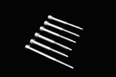 画像1: FU-Tone Stainless String Lock Screw Set w/ D-Tuna Screw/フロイドローズ/ロックスクリュー/トレモロパーツ/全国一律送料無料