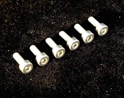 画像1: FU-Tone Floyd Stainless Saddle Mounting Screws (6)/フロイドローズ/サドルマウントスクリュー/トレモロパーツ/全国一律送料無料