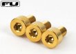 画像1: FU-Tone Titanium Nut Clamping Screw Set (3) –  Gold/フロイドローズ/チタン製ナットキャップマウントスクリュー/トレモロパーツ/全国一律送料無料 (1)