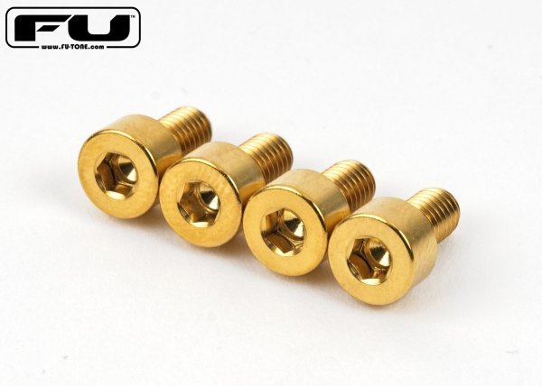 画像1: FU-Tone Titanium Nut Clamping Screw Set (4) –  Gold/フロイドローズ/チタン製ナットキャップマウントスクリュー/トレモロパーツ/全国一律送料無料 (1)