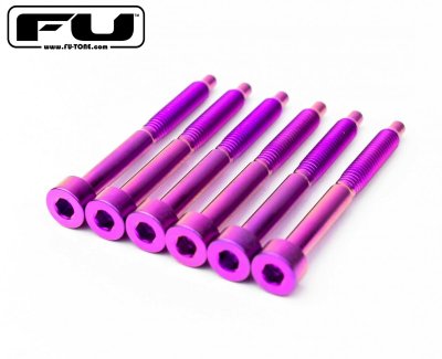 画像3: FU-Tone Titanium String Lock Screw Set(6) Purple/フロイドローズ/チタン製ロックスクリュー/トレモロパーツ/全国一律送料無料