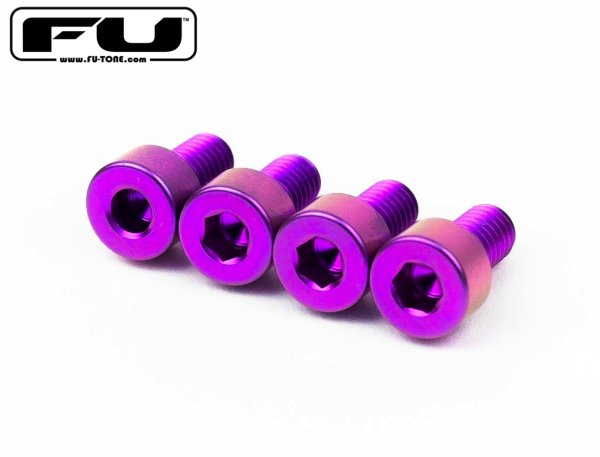 画像1: FU-Tone Titanium Nut Clamping Screw Set (4) – Purple/フロイドローズ/チタン製ナットキャップマウントスクリュー/トレモロパーツ/全国一律送料無料 (1)