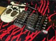 画像11: Charvel Warren DeMartini USA Signature Blood and Skulls/シャーベル カスタムショップ/中古・美品/全国一律送料無料！ (11)