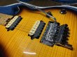 画像12: Peavey USA Wolfgang Standard 1997 Pad Pend Sun Burst/中古・美品/全国一律送料無料 (12)