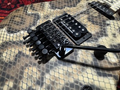 画像1: Charvel USA Custom Shop Warren DeMartini Signature Snake/全国一律送料無料