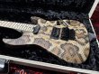 画像8: Charvel USA Custom Shop Warren DeMartini Signature Snake/全国一律送料無料 (8)