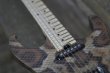 画像4: Charvel USA Custom Shop Warren DeMartini Signature Snake/全国一律送料無料 (4)