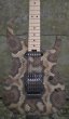 画像1: Charvel USA Custom Shop Warren DeMartini Signature Snake/全国一律送料無料 (1)