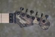 画像5: Charvel USA Custom Shop Warren DeMartini Signature Snake/全国一律送料無料 (5)