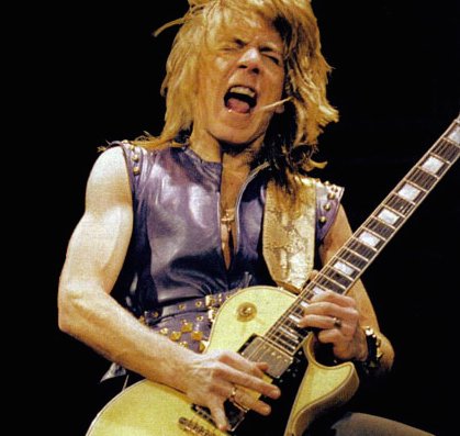 Gibson Les Paul Pickguard Randy Rhoads/ランディーローズ/ピックガード/全国一律送料無料