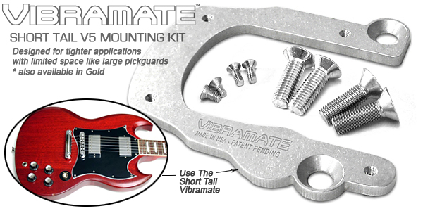 FU-Tone Vibramate V5 Short Tail Mounting Plate for Bigsby  B5/ヴィブラート・テールピース/マウンティング・キット/全国一律送料無料